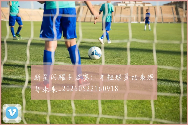 新星闪耀季后赛:年轻球员的表现与未来_20260522160918