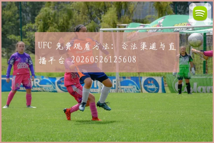 UFC 免费观看方法:合法渠道与直播平台_20260526125608