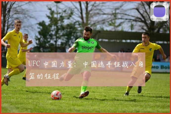 UFC 中国力量:中国选手征战八角笼的征程